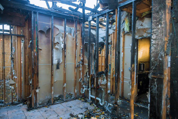 Professional Fire Damage Removal technician working in Barnesville, MD